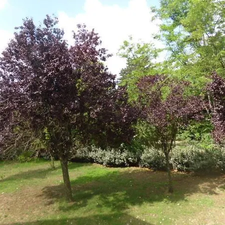 Cocon Entre Et Foret Apartment